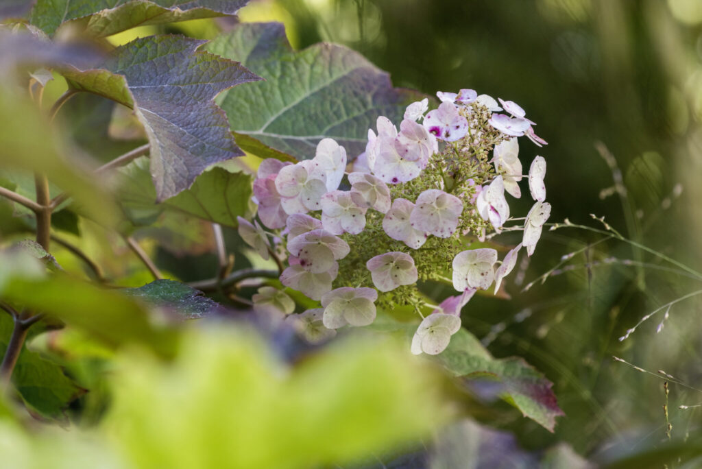 Projekte v. Gayl Landschaftsarchitekten